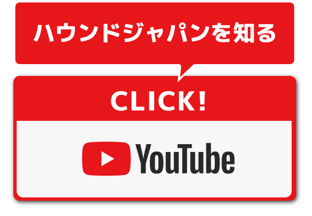 ハウンドジャパンを見たい　YOUTUBE